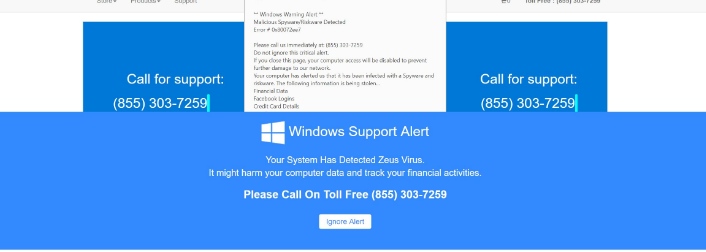 Zeus-virus-Detected-Malware